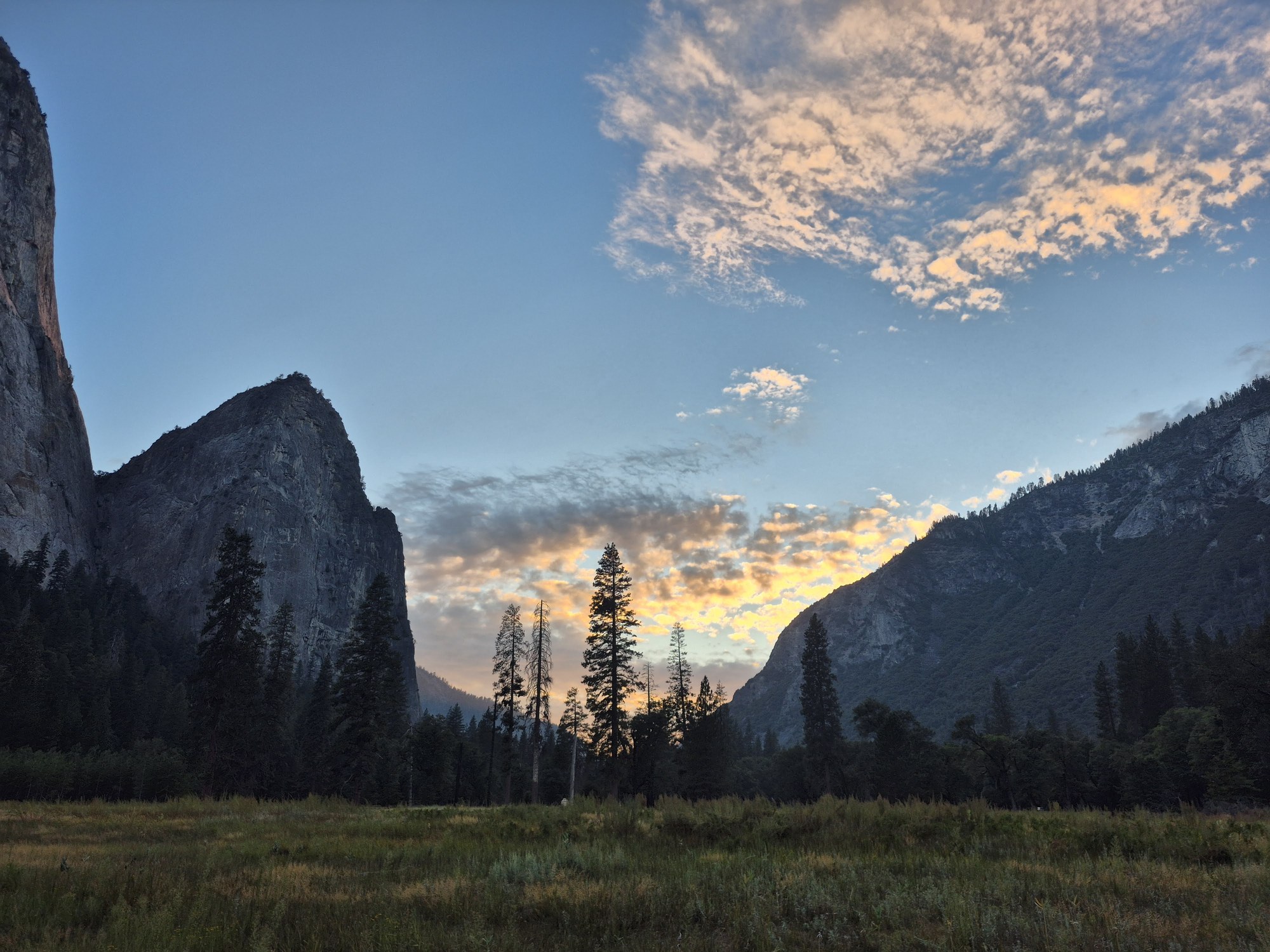 Cathedral Rocks silhouetted against a pale sunset sky at the western end of Yosemite Valley, dark pines in the foreground